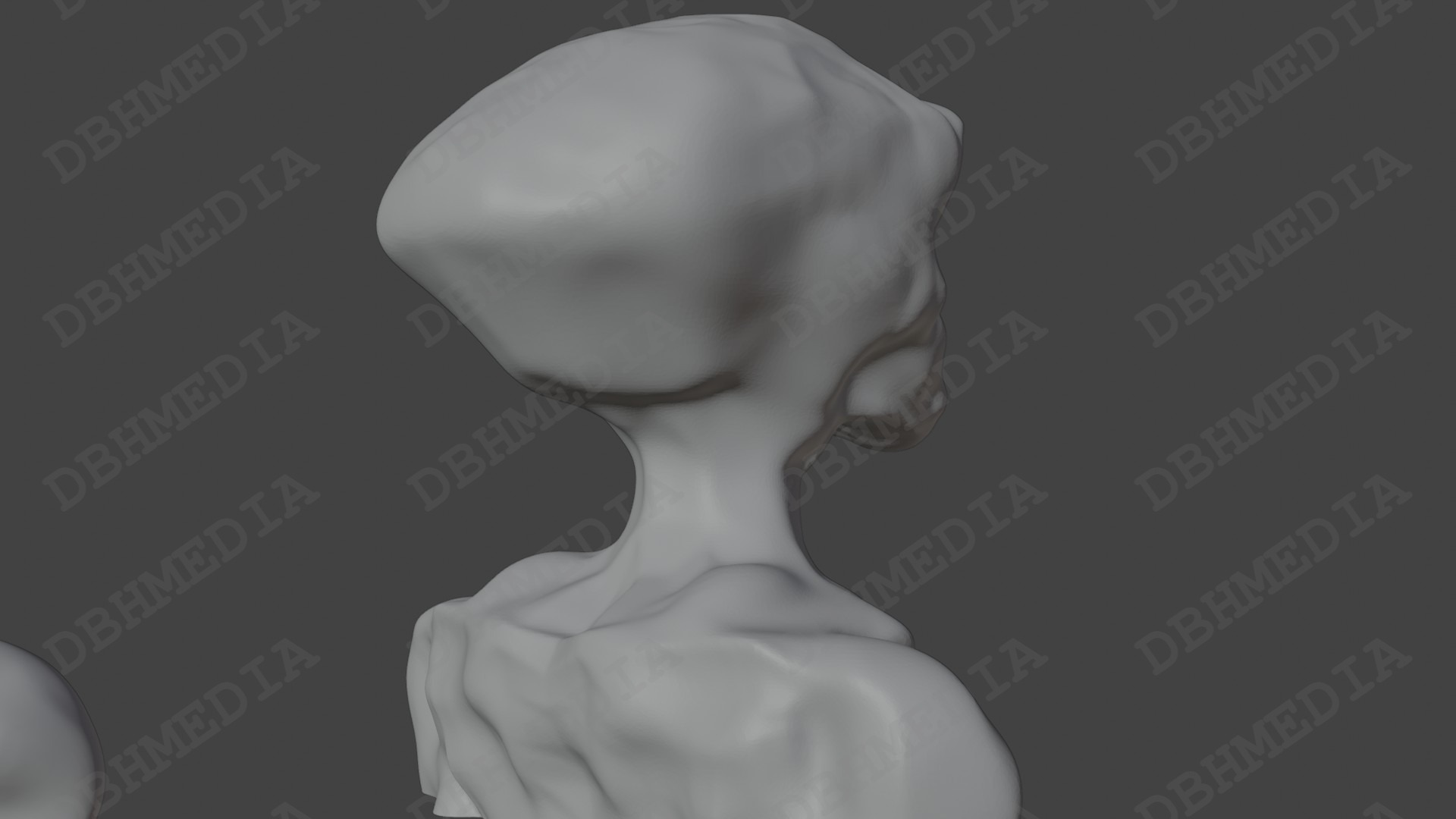 3D Graphics: Modeling/character Design