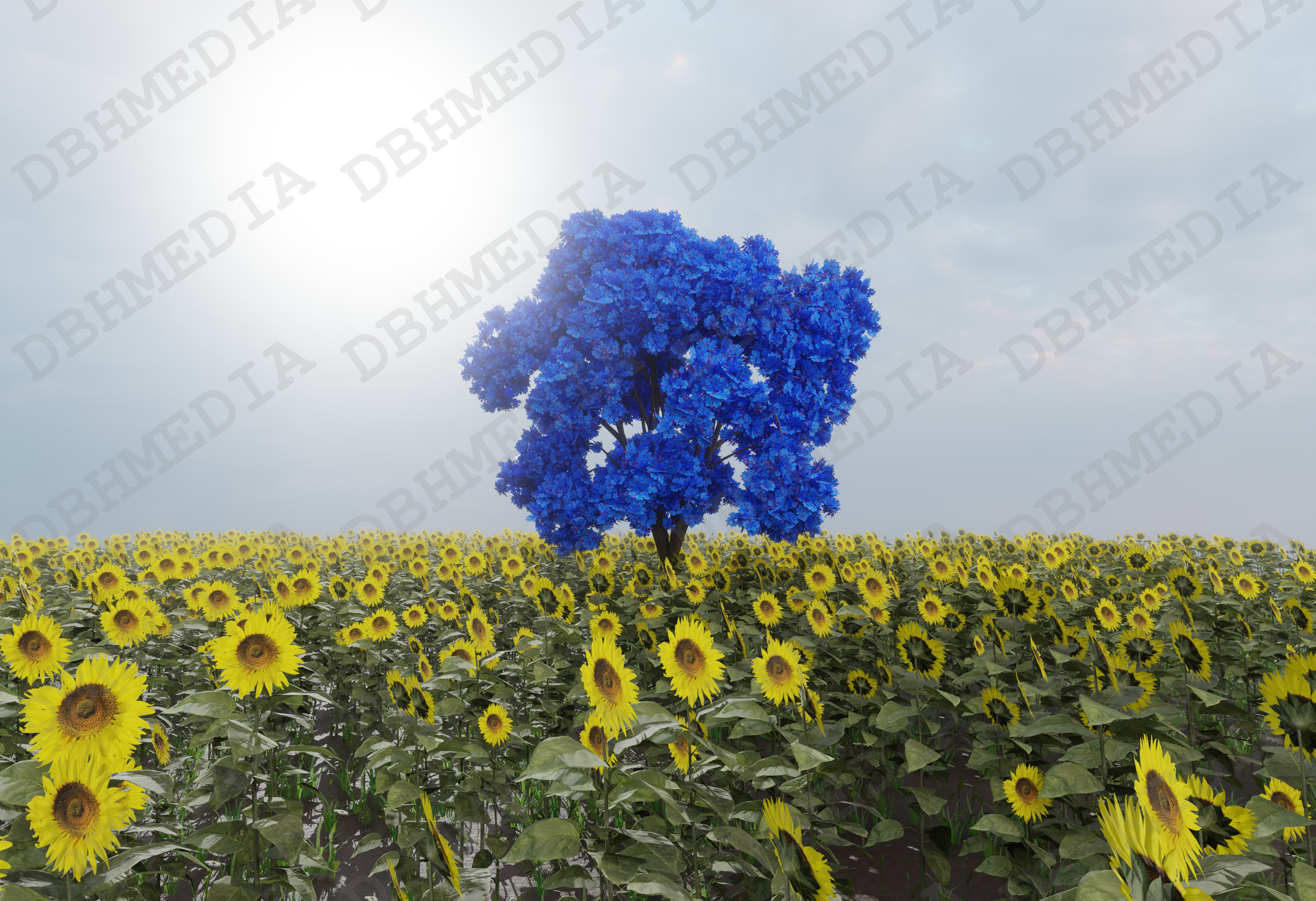 3D graphics - Landscapes/environments