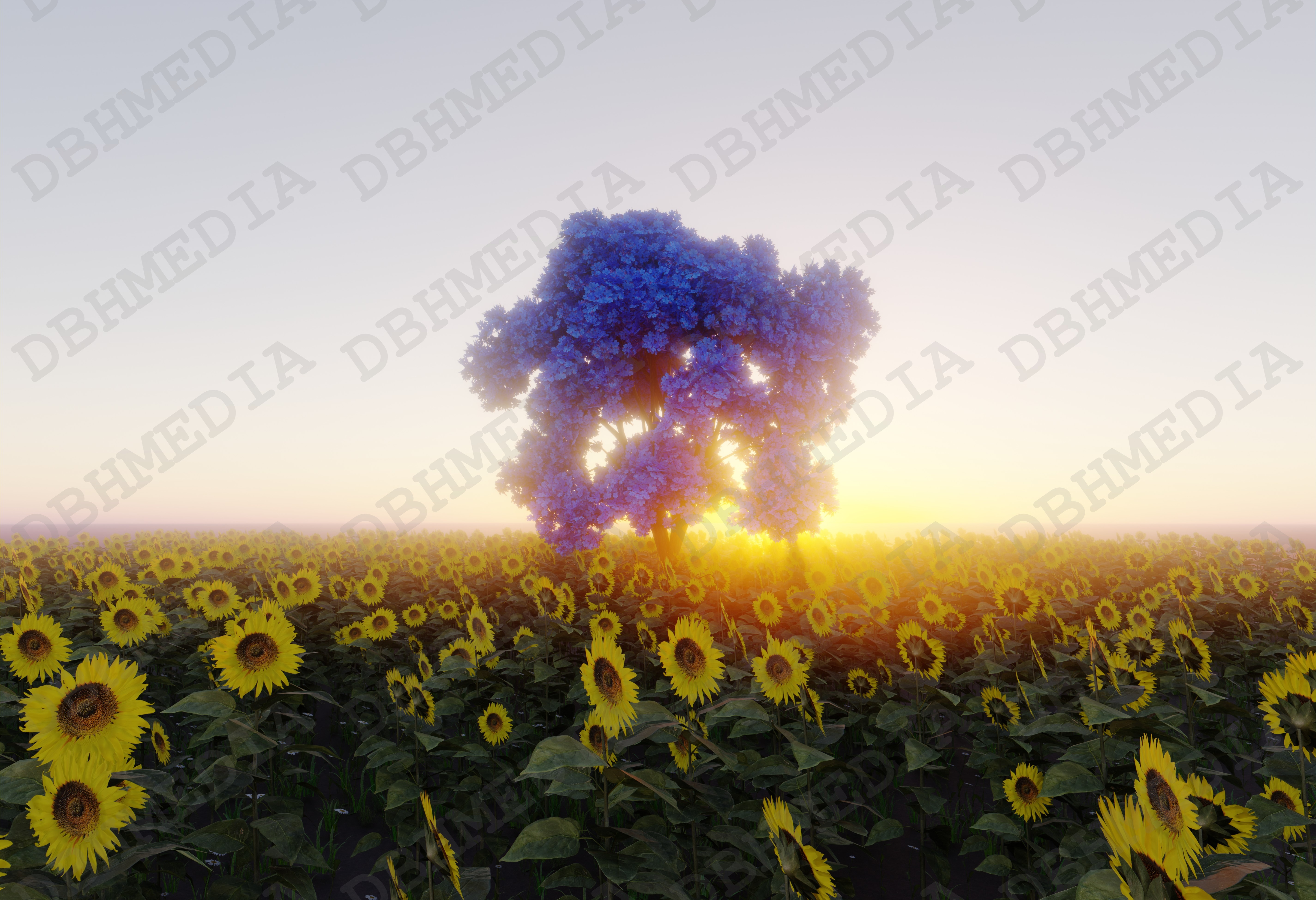 3D graphics - Landscapes/environments